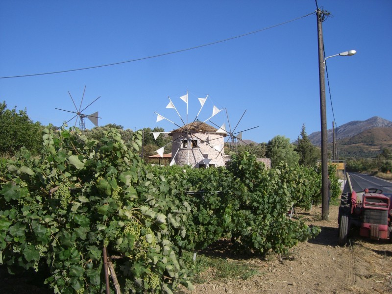 CIMG8731 per preveli